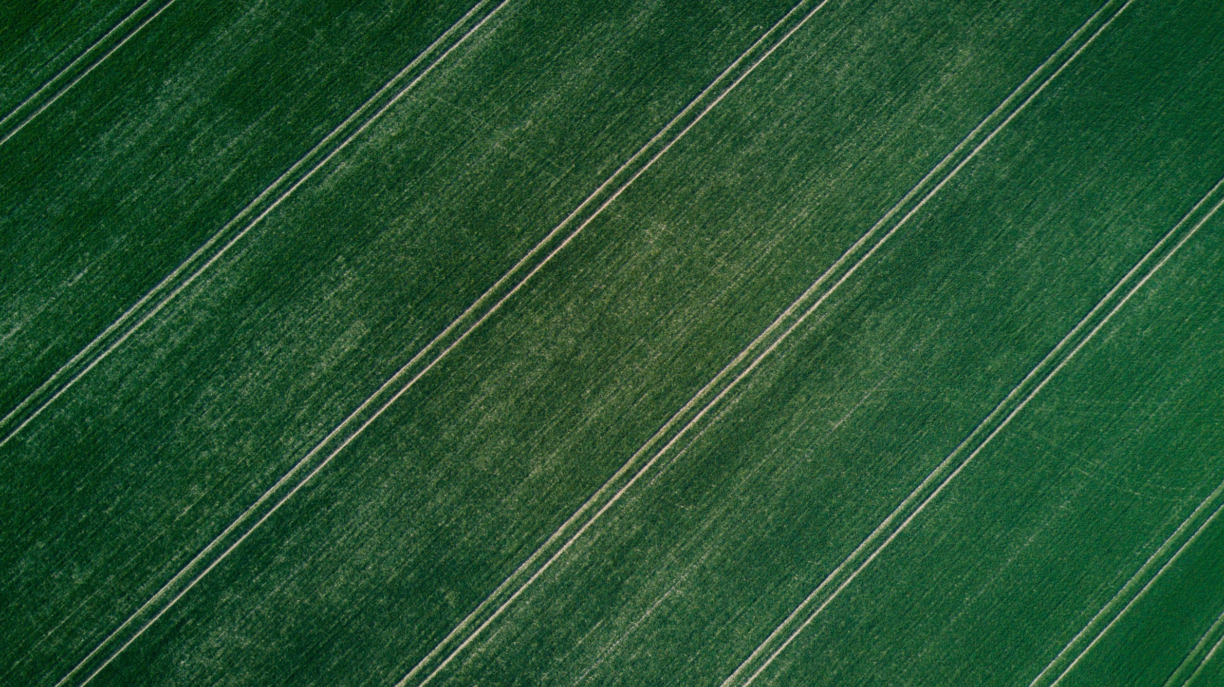 Green fieldlands aerial view