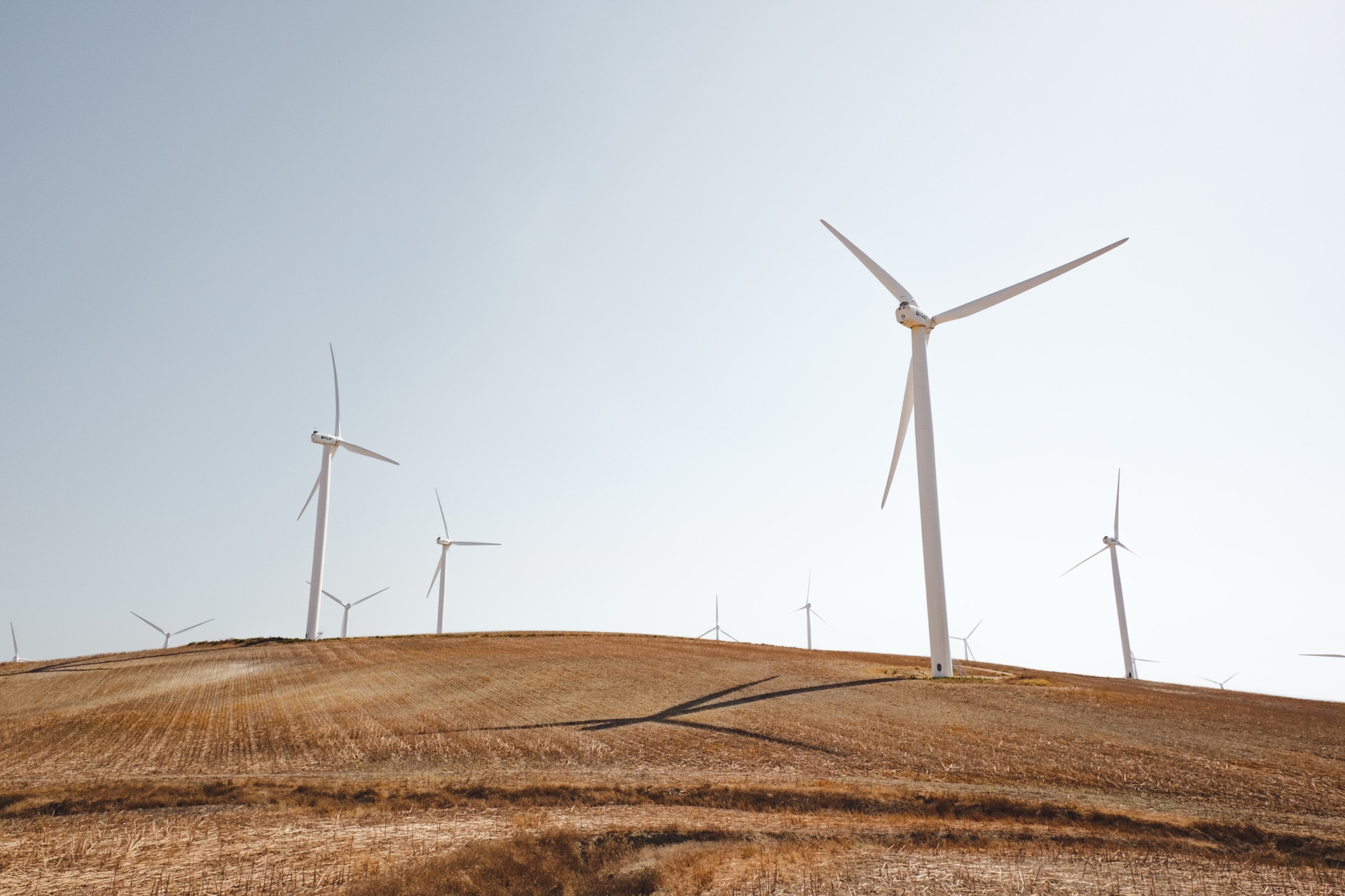 Image of a windmill field on a sunny day to illustrate a green transition