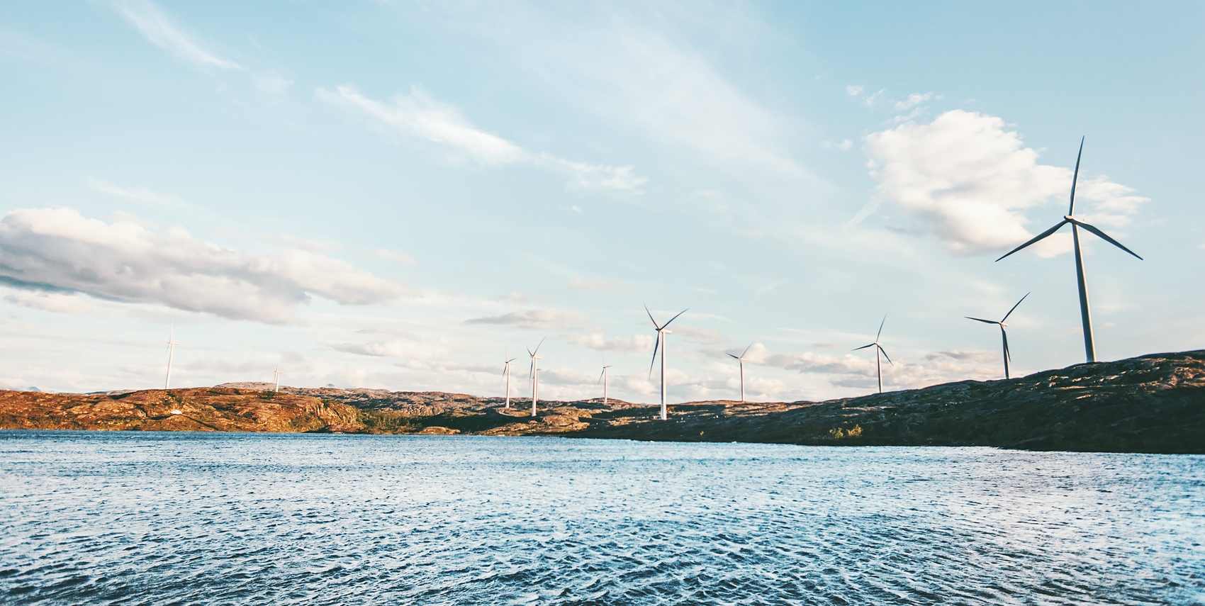 Ocean and windmills in the background