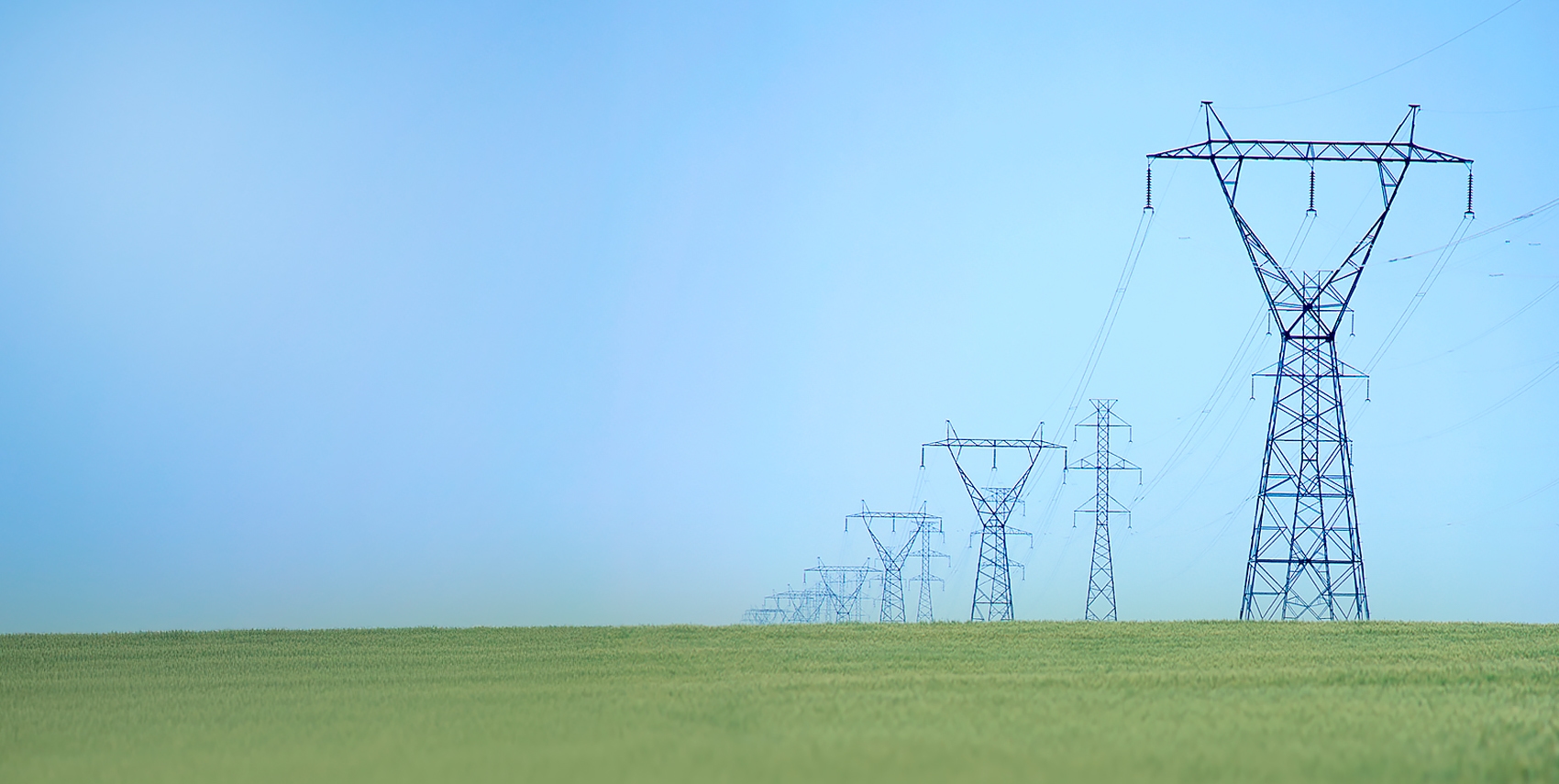 Power lines on a green field