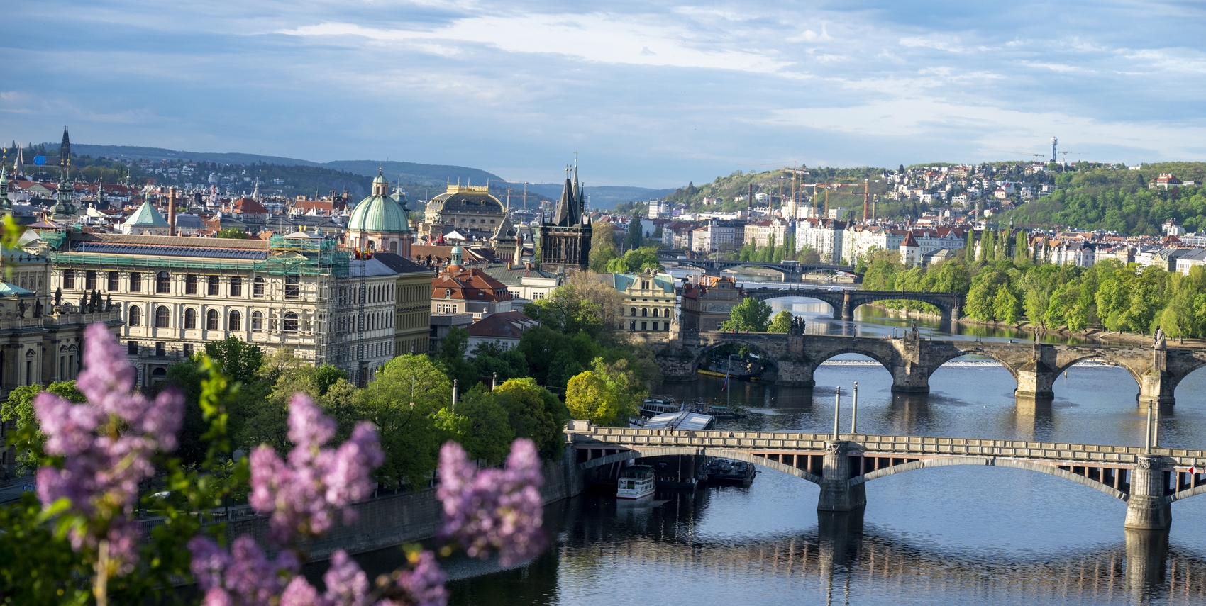 Scenic view of central Prague with multiple historic bridges crossing the Vltava River, including the iconic Charles Bridge, surrounded by lush green trees, baroque architecture, and distant hills under a partly cloudy sky. Blooming lilac flowers in the foreground add a splash of colour.