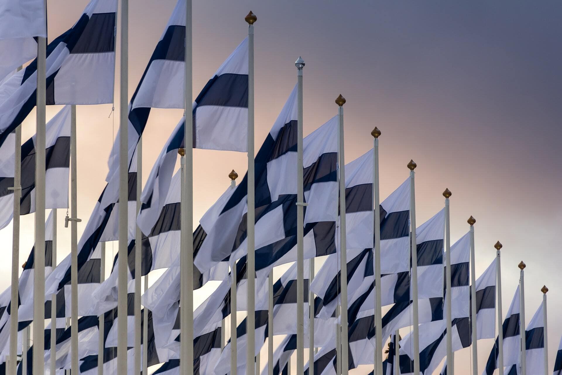 Finish flags polls in the wind