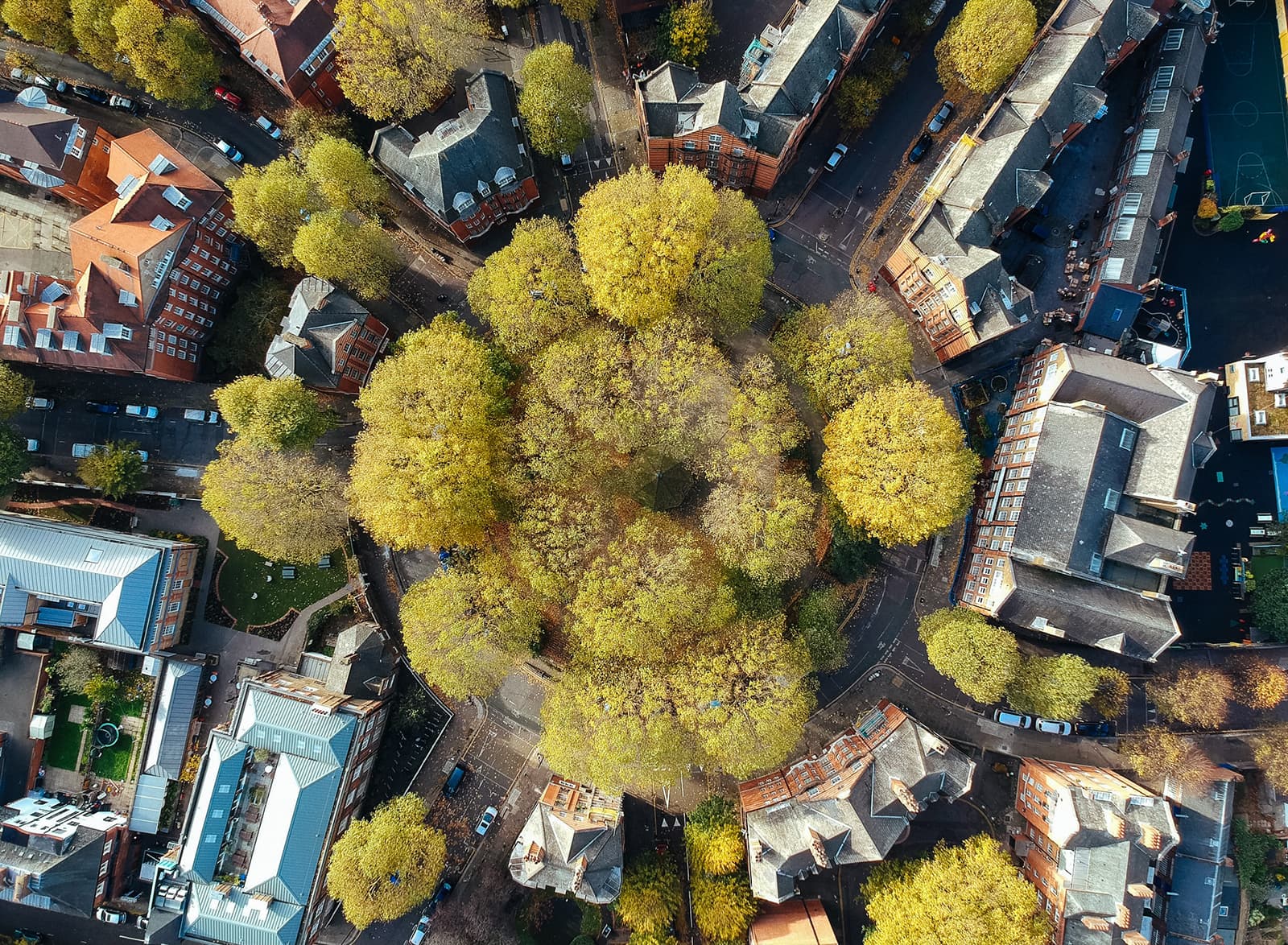 Image of a tree on a roundabout to illustrate volue locations