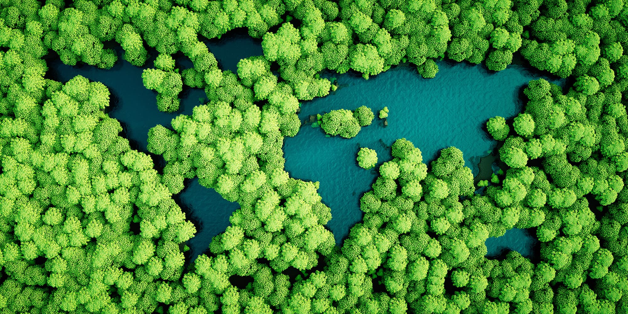Woodlands aerial view