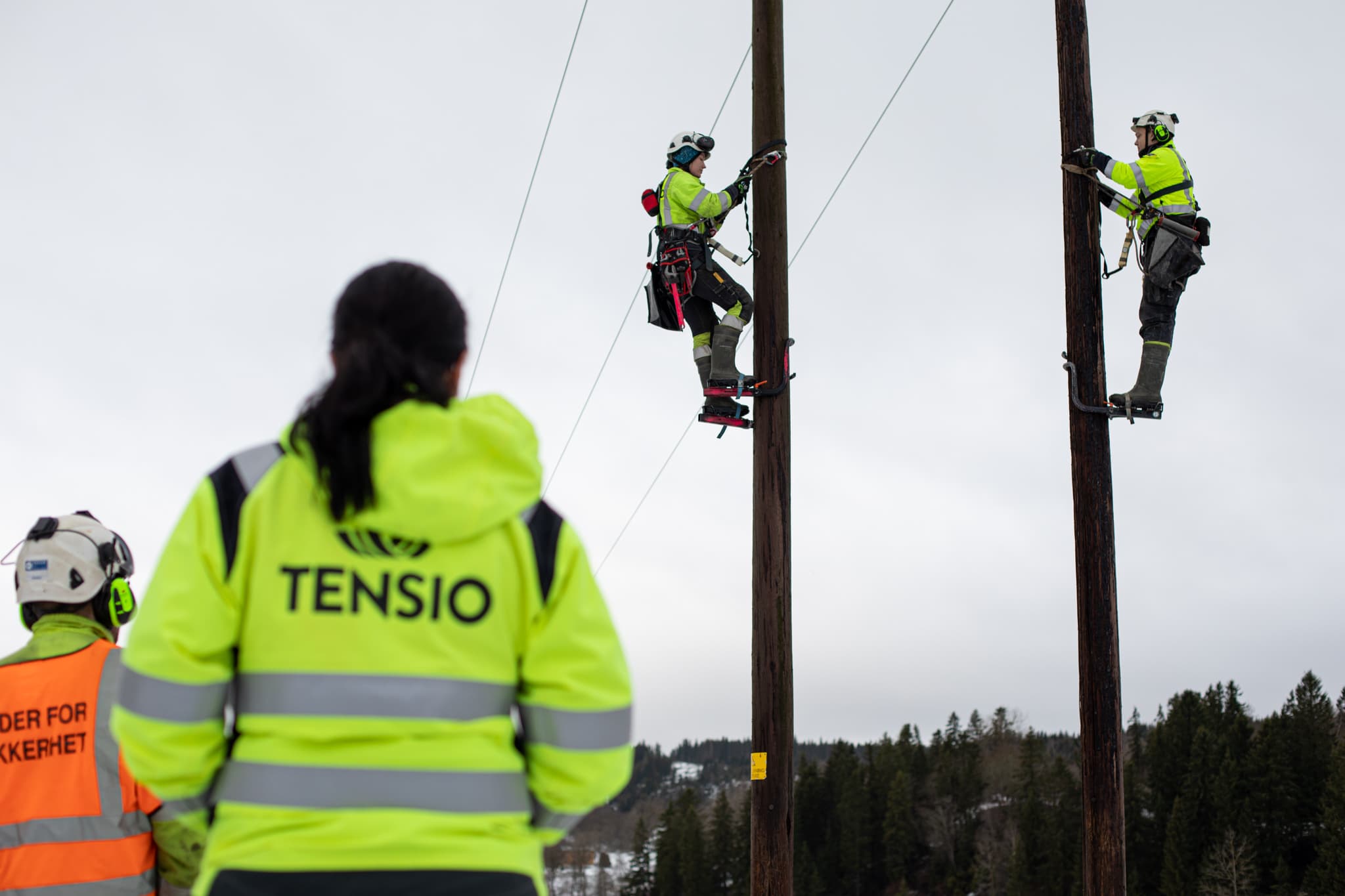 Two workers inspecting the power grid