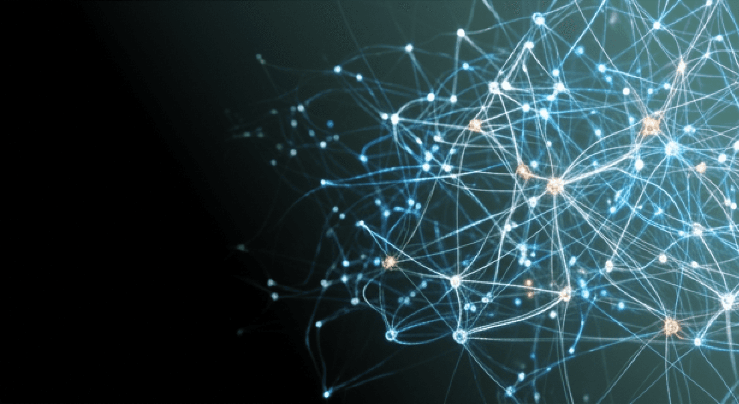 How EVN turns complexity into competitive advantage
