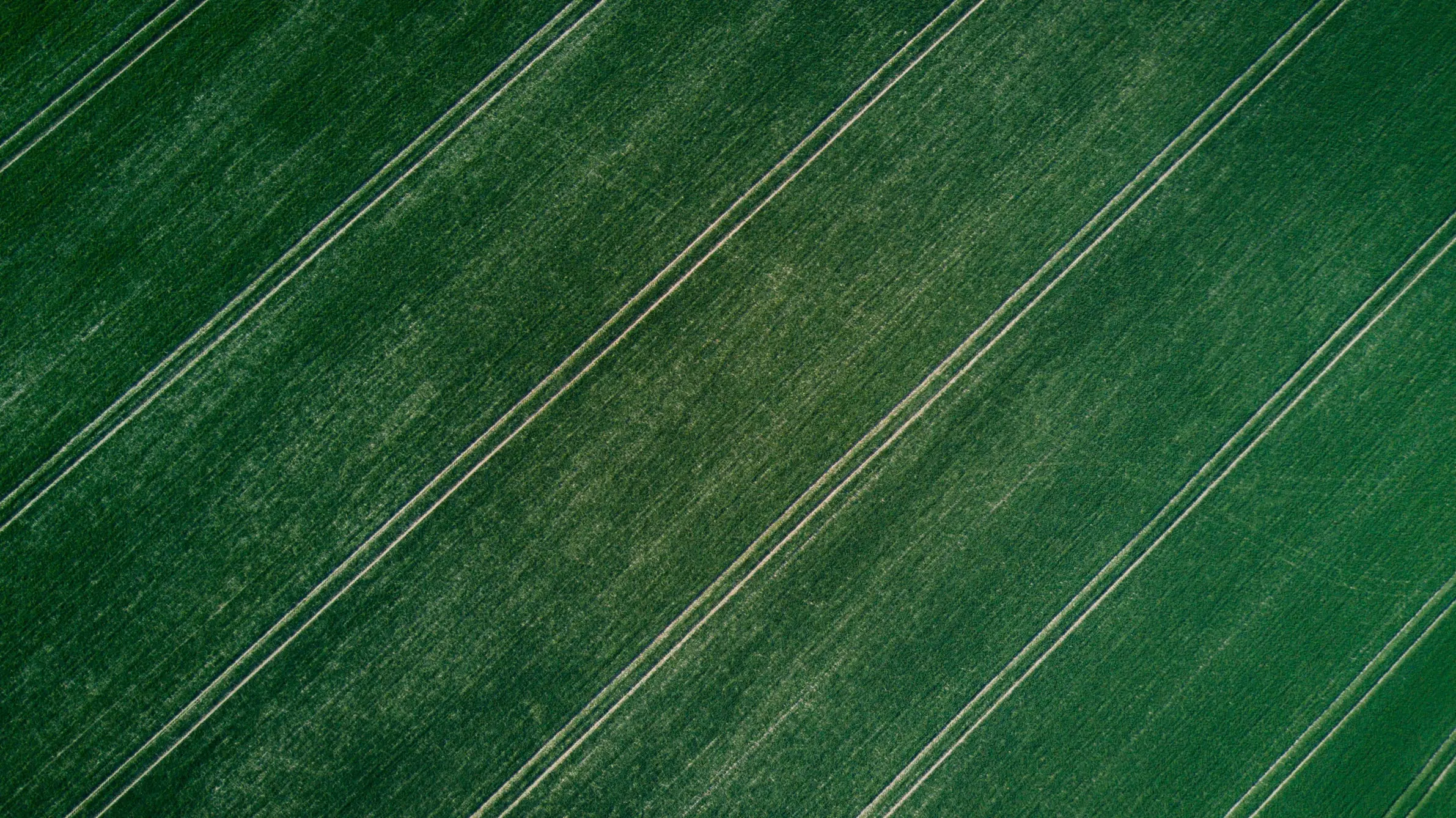Green fieldlands aerial view